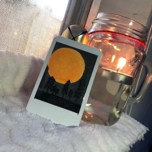 Polaroid Painting